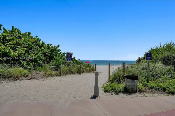 a view of a yard and palm trees