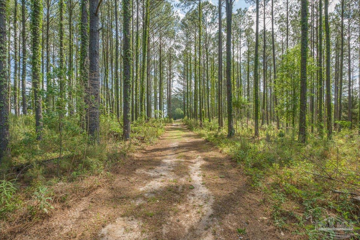6374 Perfect Acres Road Milton, FL 32570 - Photo 52 of 66