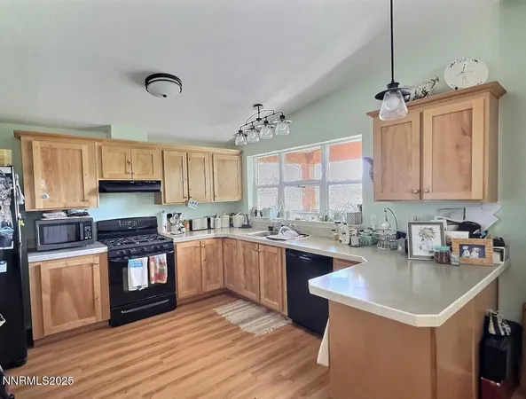 $355,000 | 113 Victorine Drive, Kingston, NV 89310
