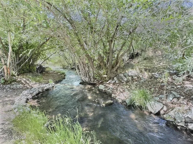 a view of a yard with a tree