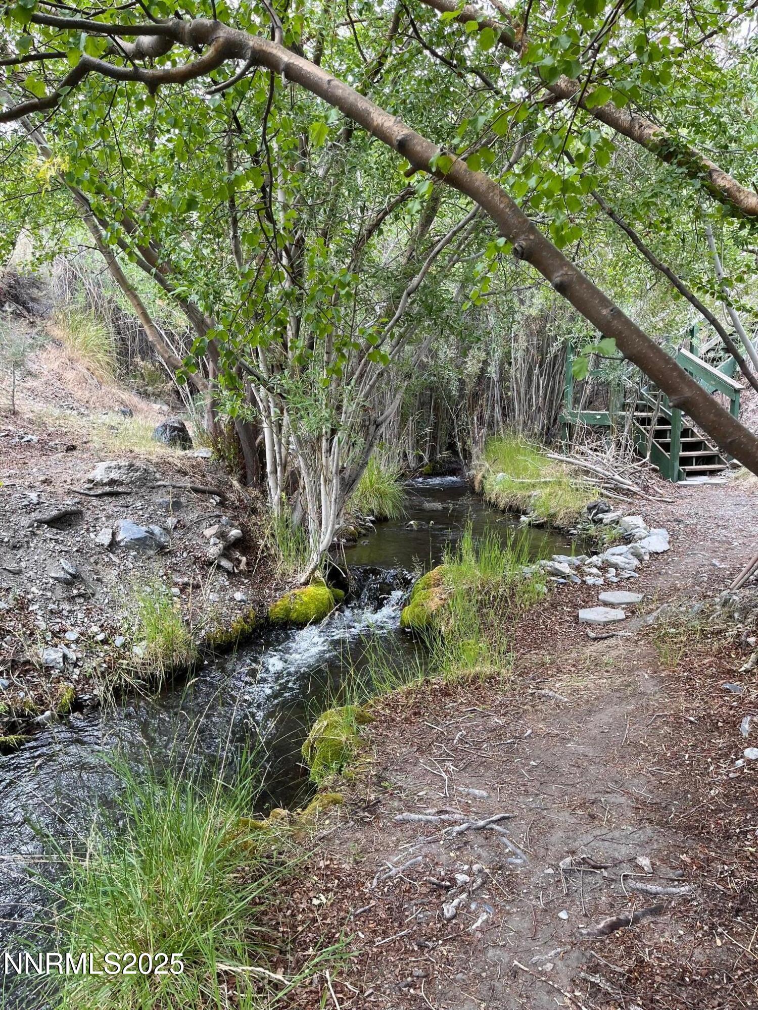 113 Victorine Drive Kingston, NV 89310 - Photo 38 of 44 a backyard of a house with a yard and lake view