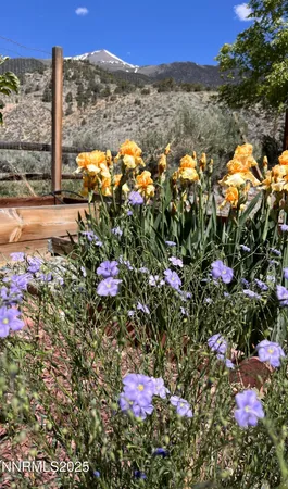 $355,000 | 113 Victorine Drive, Kingston, NV 89310