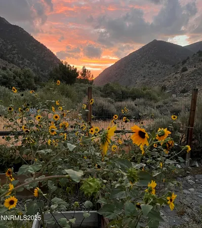 $355,000 | 113 Victorine Drive, Kingston, NV 89310