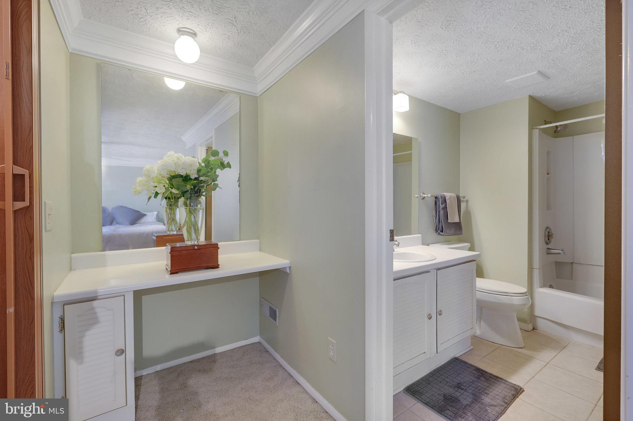 1638 Barnstead Drive Reston, VA 20194 - Photo 8 of 18 primary vanity and bath