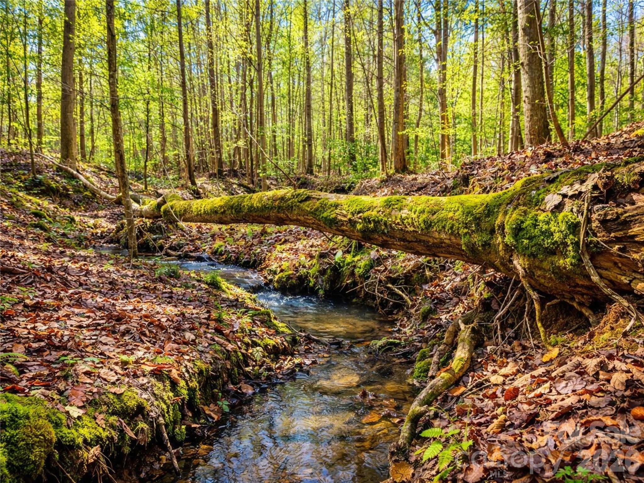 196 Sunset Ridge, Unit LOT 122 Rockingham, NC 28379 - Photo 3 of 15