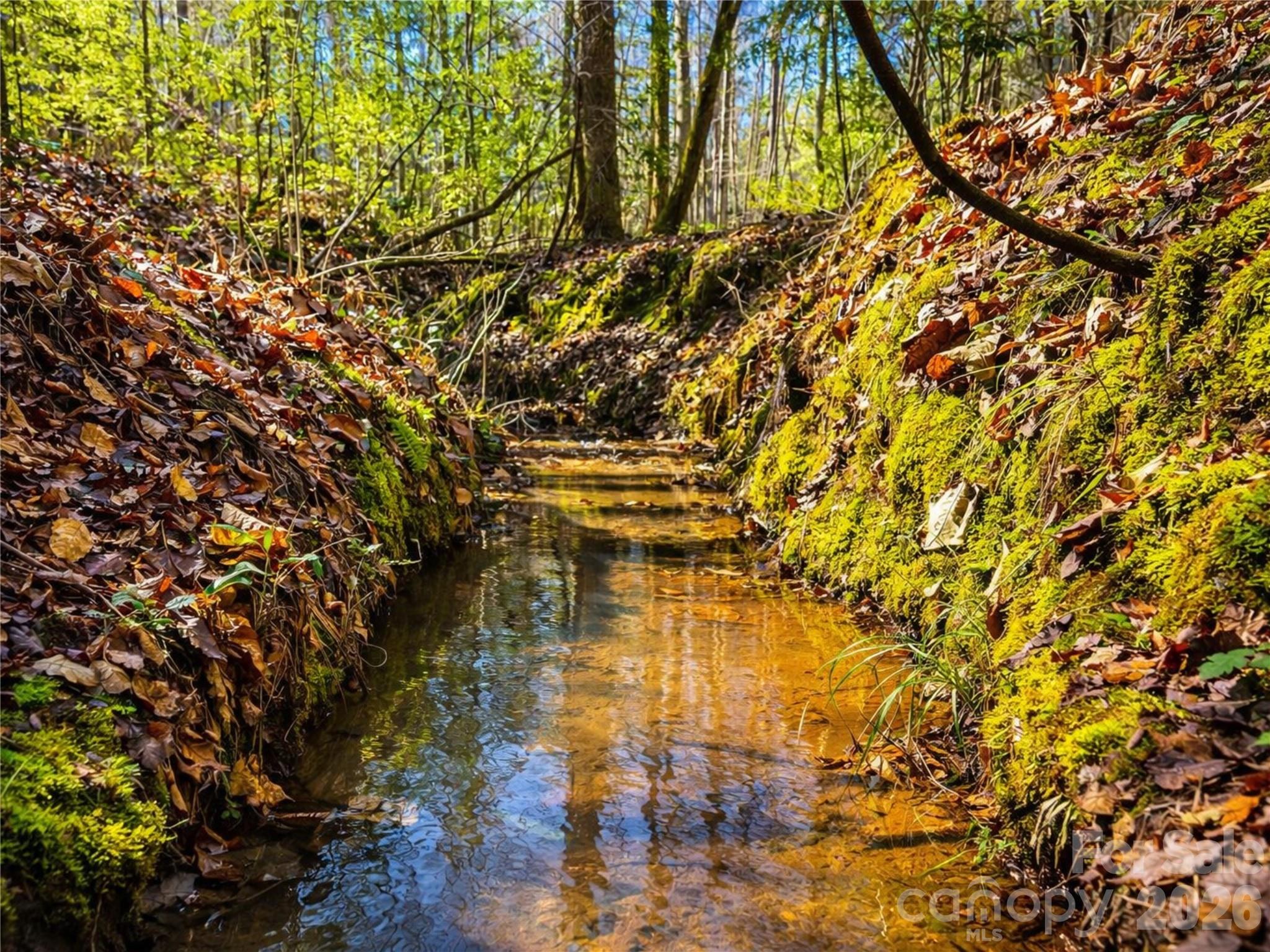 196 Sunset Ridge, Unit LOT 122 Rockingham, NC 28379 - Photo 5 of 15