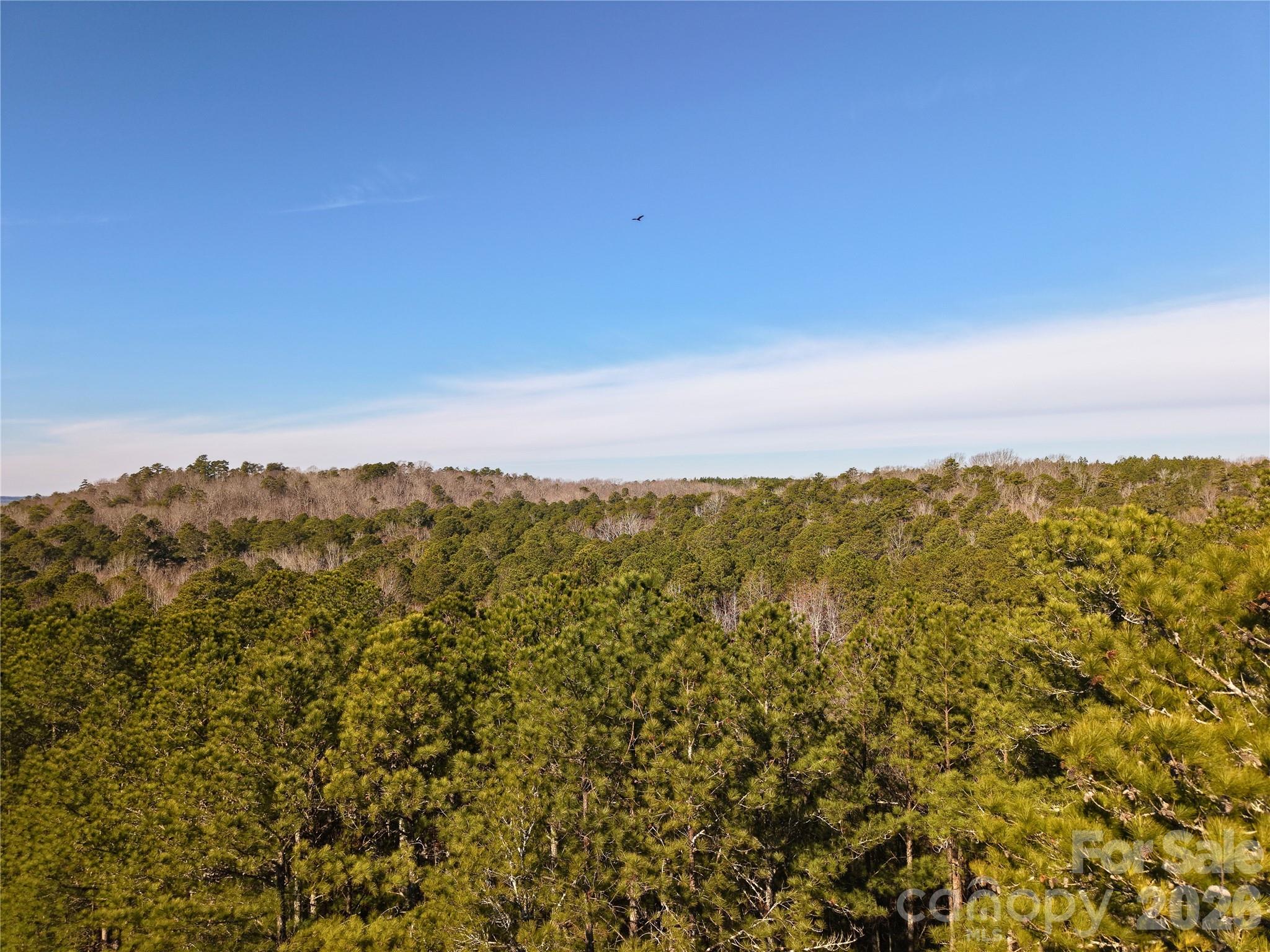 196 Sunset Ridge, Unit LOT 122 Rockingham, NC 28379 - Photo 10 of 15