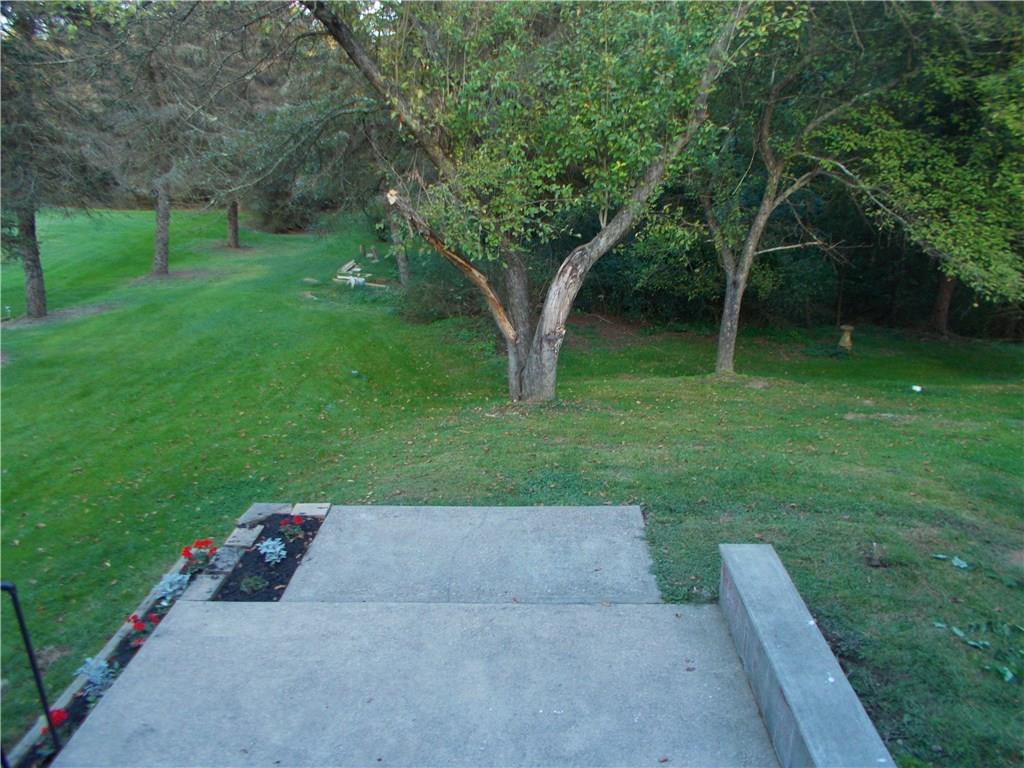 121 Mary Reed Road Baden, PA 15005 - Photo 22 of 24 Back Yard. Park-like setting with mature trees, trails, and a creek "down yonder".