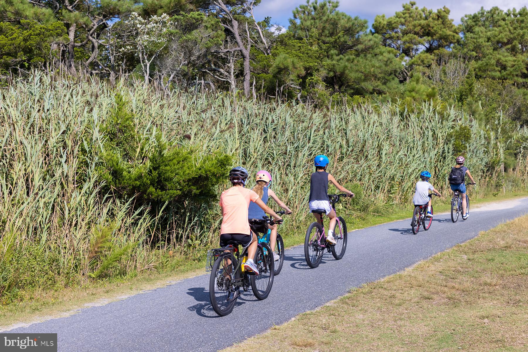 28 Marshall Road Rehoboth Beach, DE 19971 - Photo 50 of 60 Enjoy the beaches bike trails