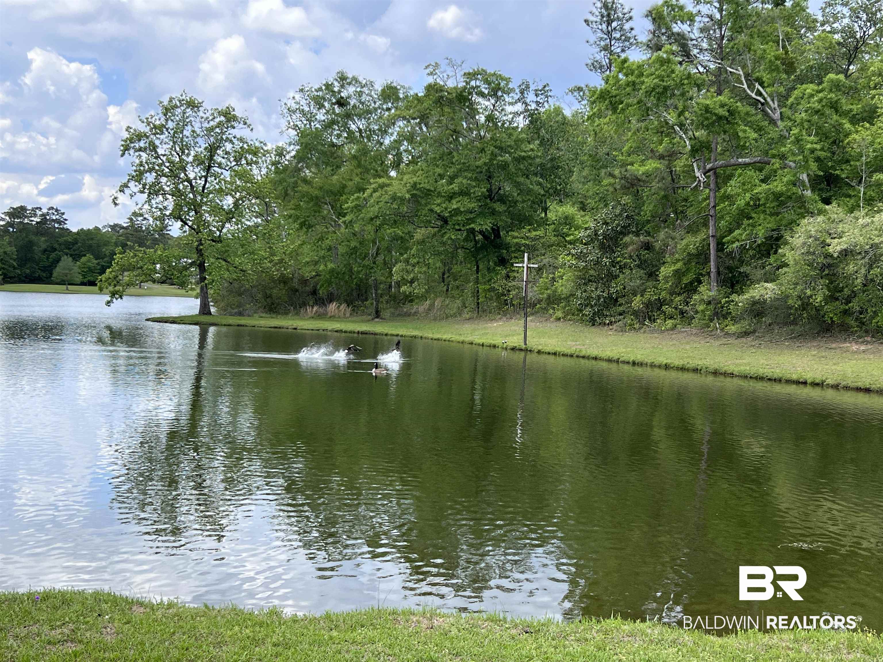 5100 Wiggins Lake Road Walnut Hill, FL 32568 - Photo 28 of 41