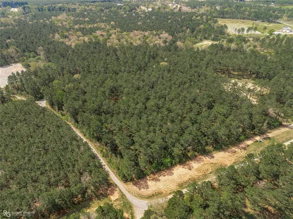 a view of a yard with plants and trees