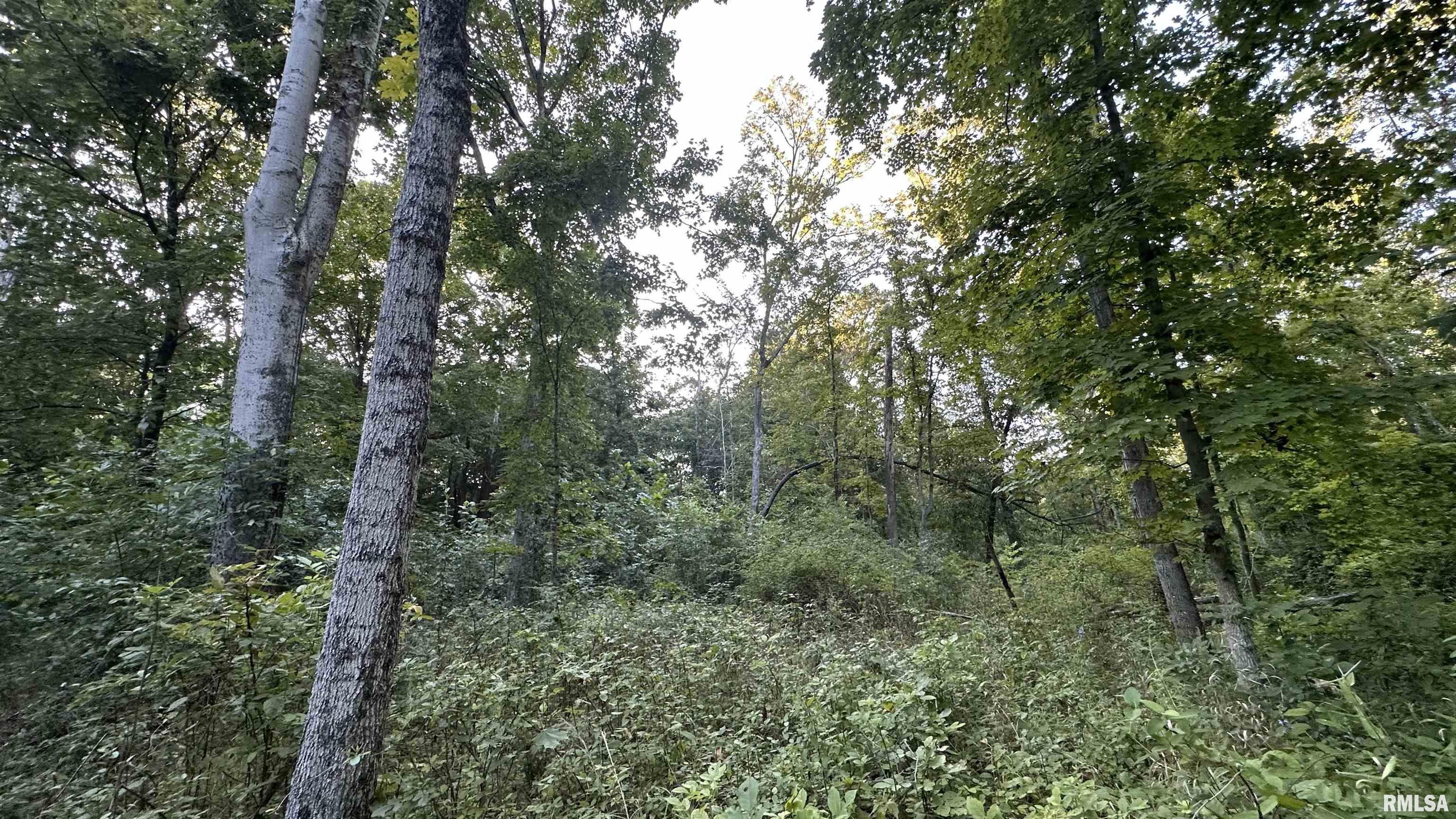 0 Mt Moriah Road Centralia, IL 62801 - Photo 11 of 26
