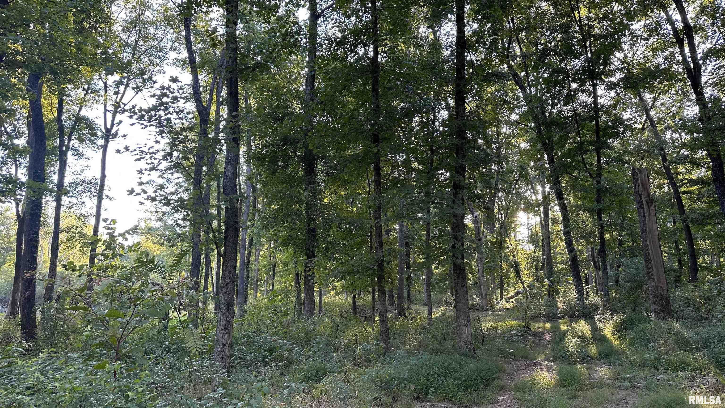 0 Mt Moriah Road Centralia, IL 62801 - Photo 17 of 26