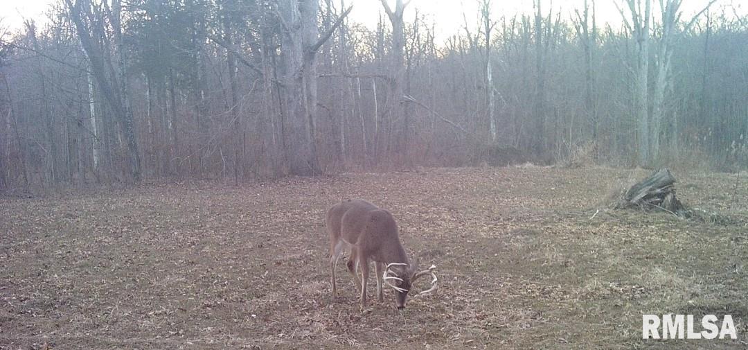 0 Mt Moriah Road Centralia, IL 62801 - Photo 21 of 26