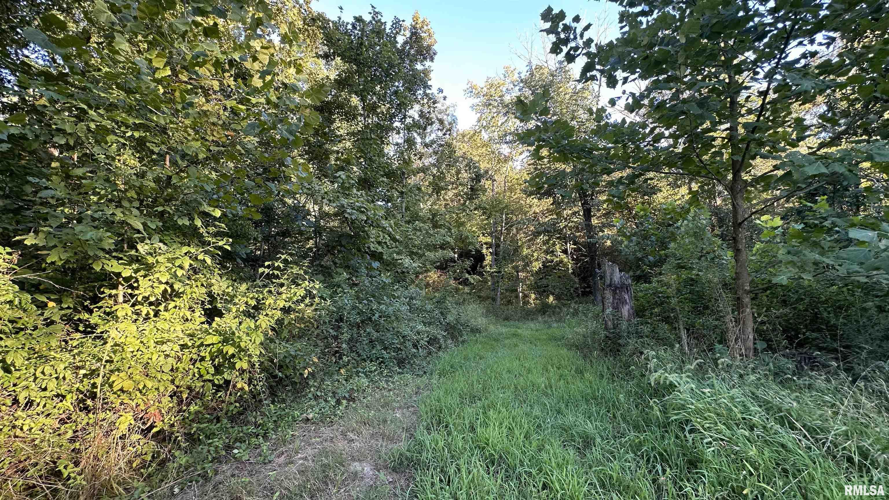 0 Mt Moriah Road Centralia, IL 62801 - Photo 5 of 26