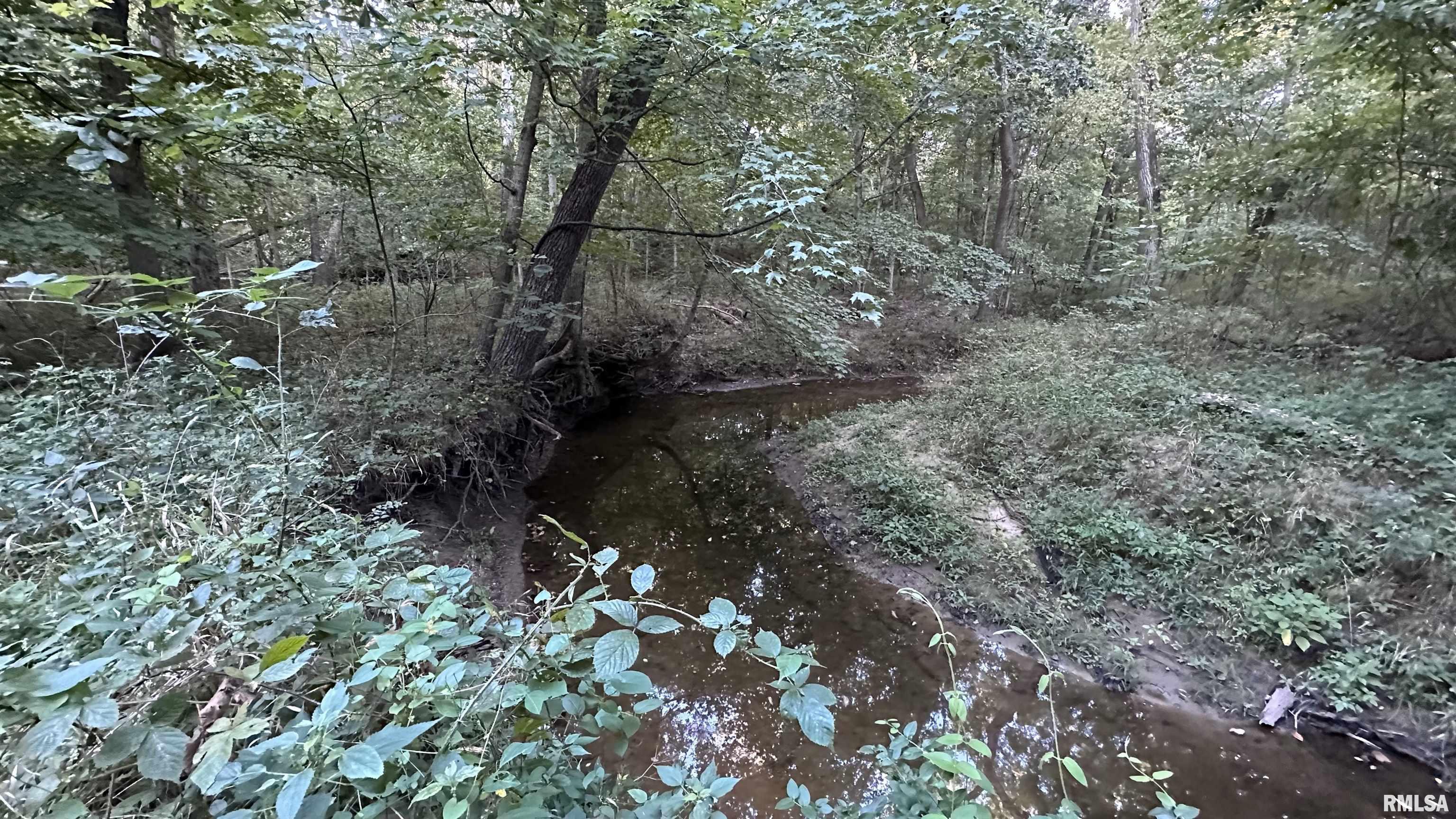 0 Mt Moriah Road Centralia, IL 62801 - Photo 7 of 26