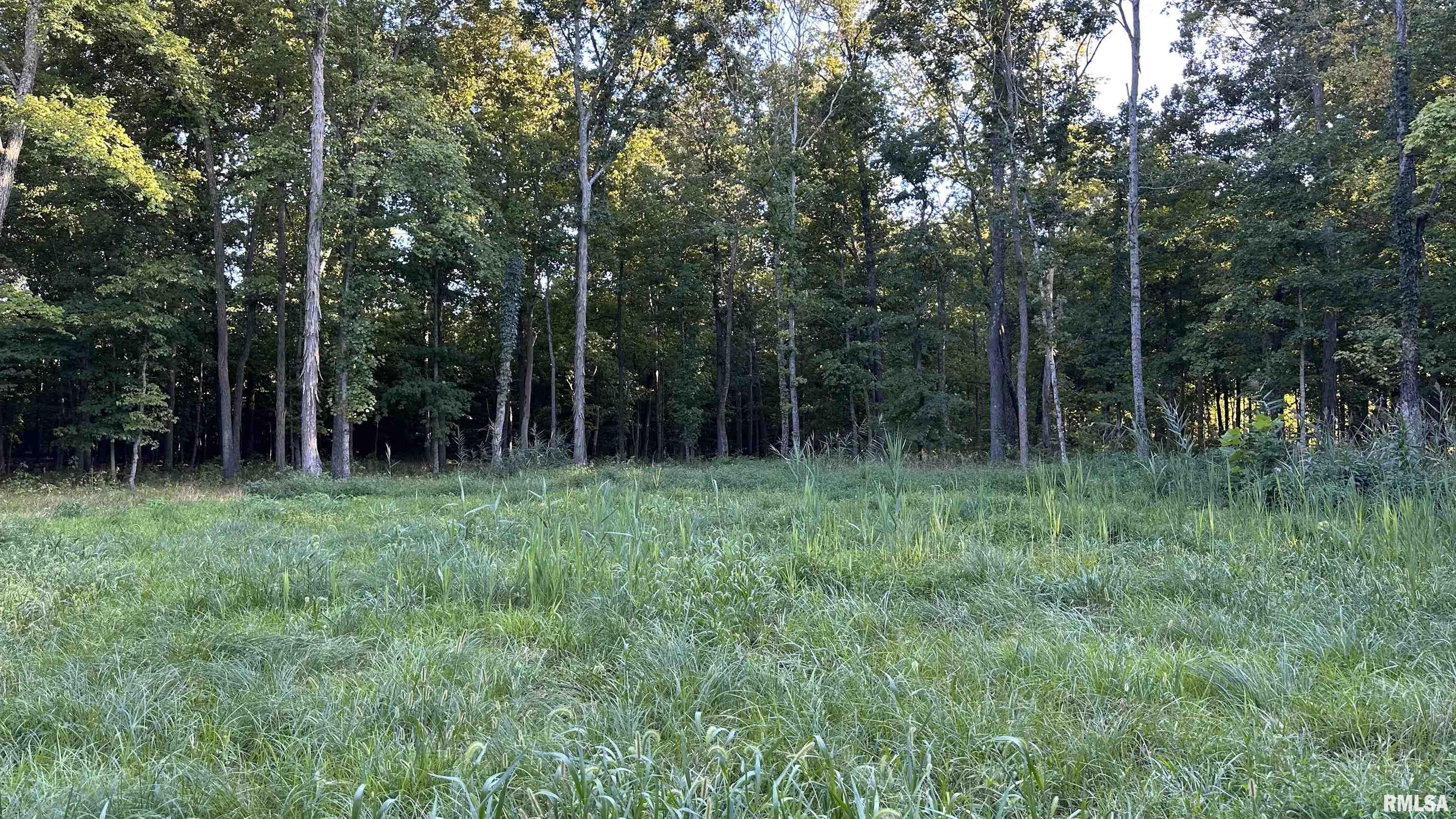 0 Mt Moriah Road Centralia, IL 62801 - Photo 10 of 26