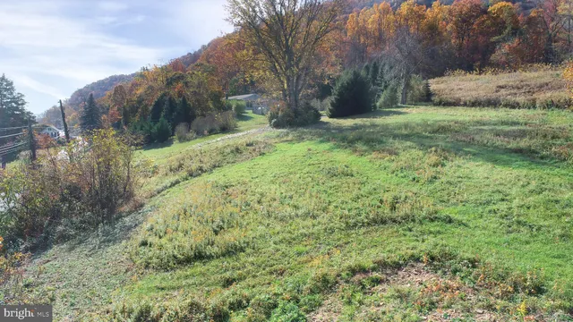 a backyard of a house with large trees and plants
