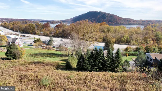 a view of a lush green hillside and houses