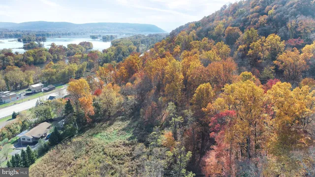 an aerial view of mountain and tree