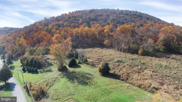 a view of a yard with a tree