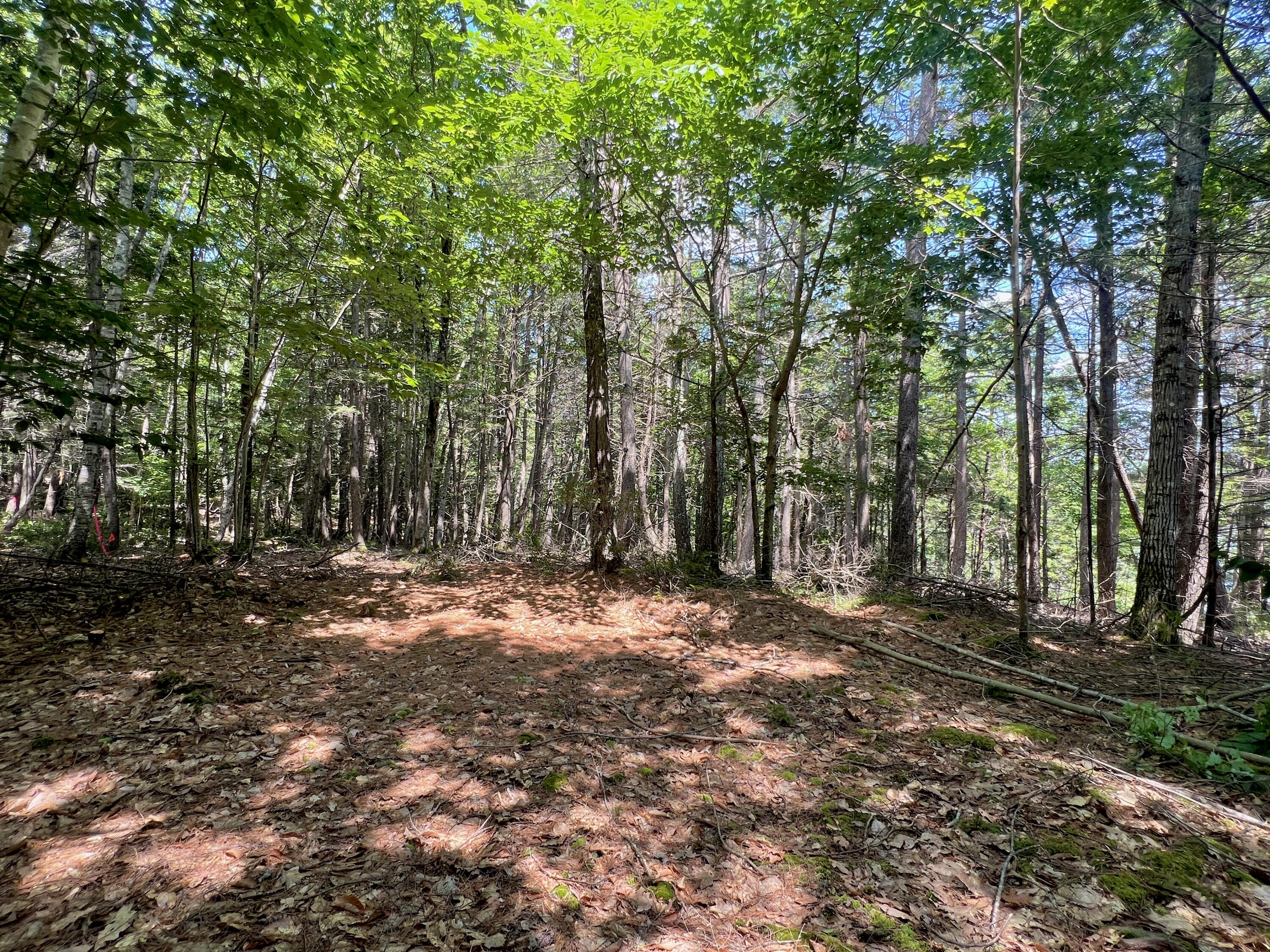 Lot A Mountain Road West Bath, ME 04530 - Photo 17 of 19 IMG_2527