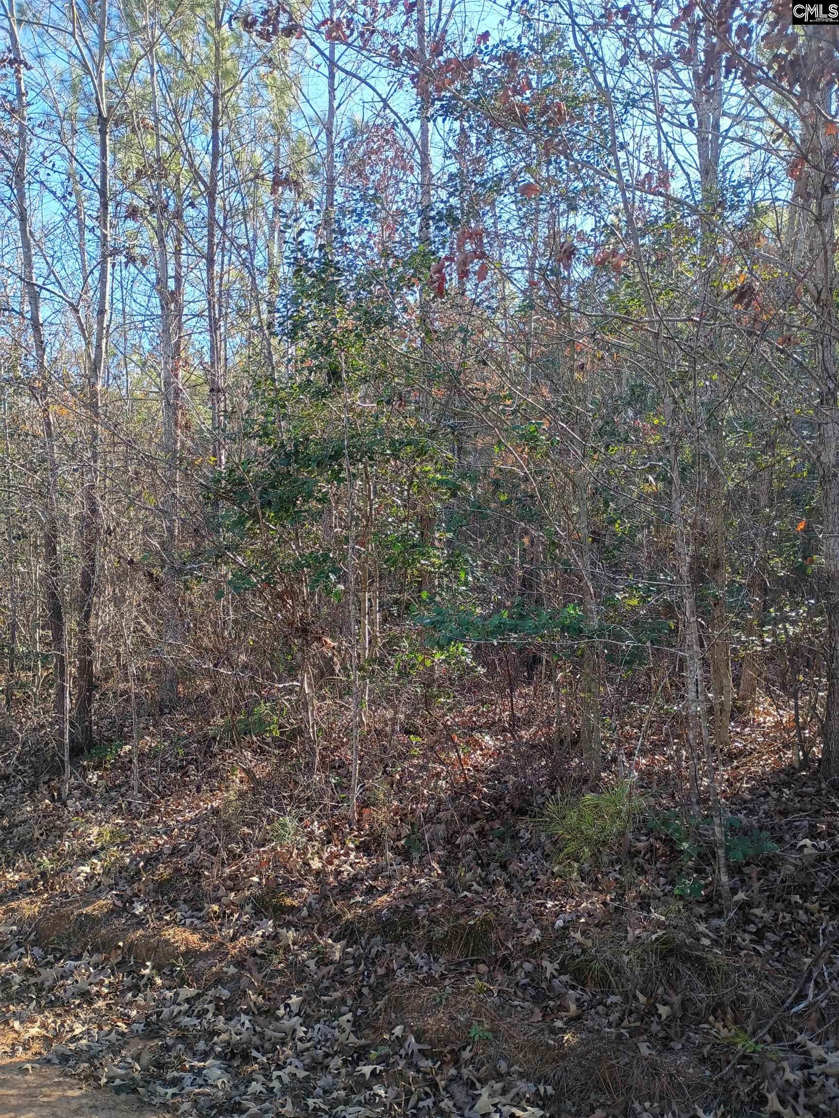 1164 Calvins Road Camden, SC 29020 - Photo 3 of 6