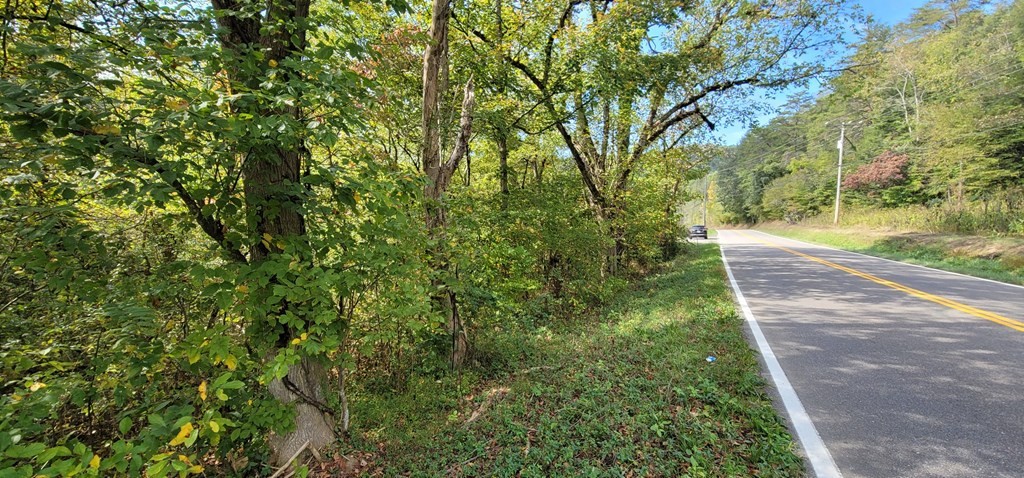 3 Jones Cove Road Sevierville, TN 37876 - Photo 12 of 18 a view of a yard