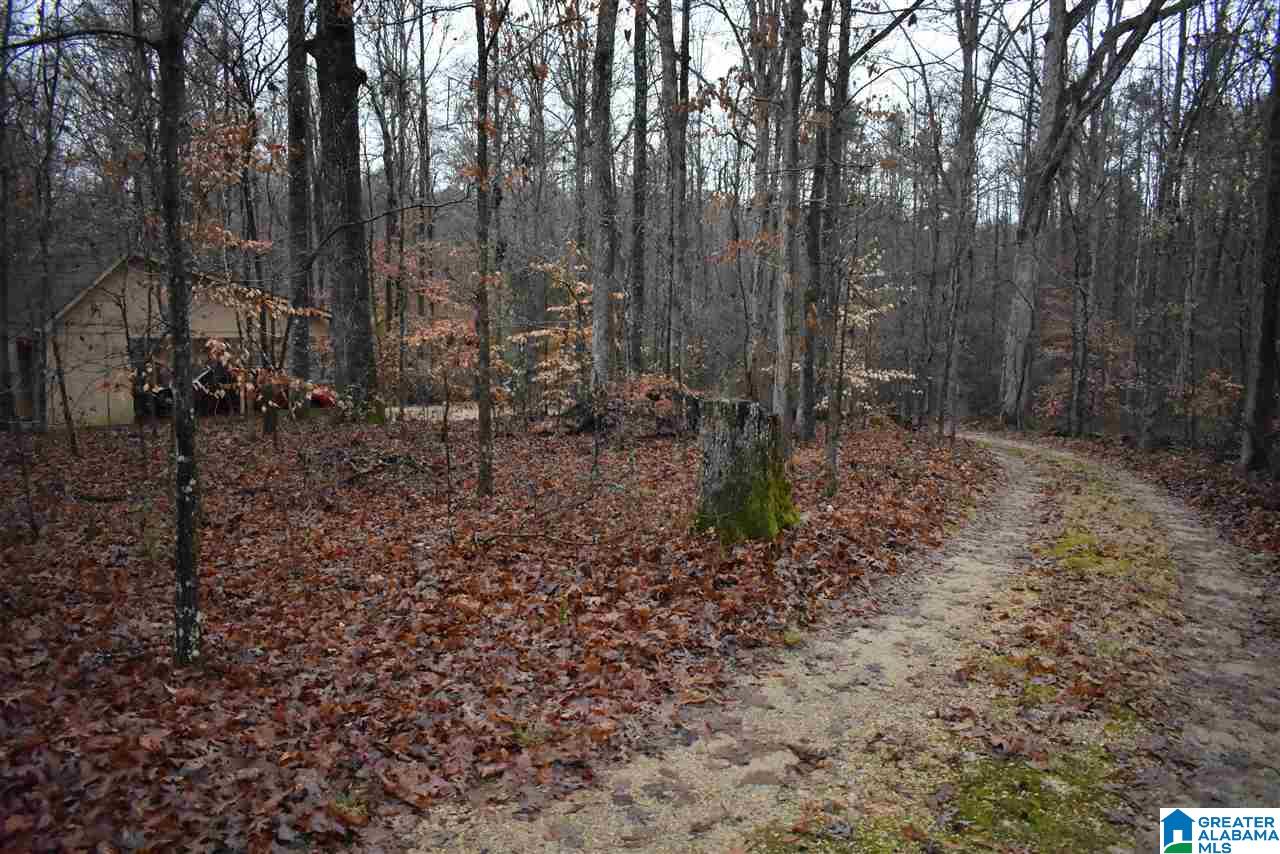 8333 Chelsea Road Columbiana, AL 35051 - Photo 46 of 50
