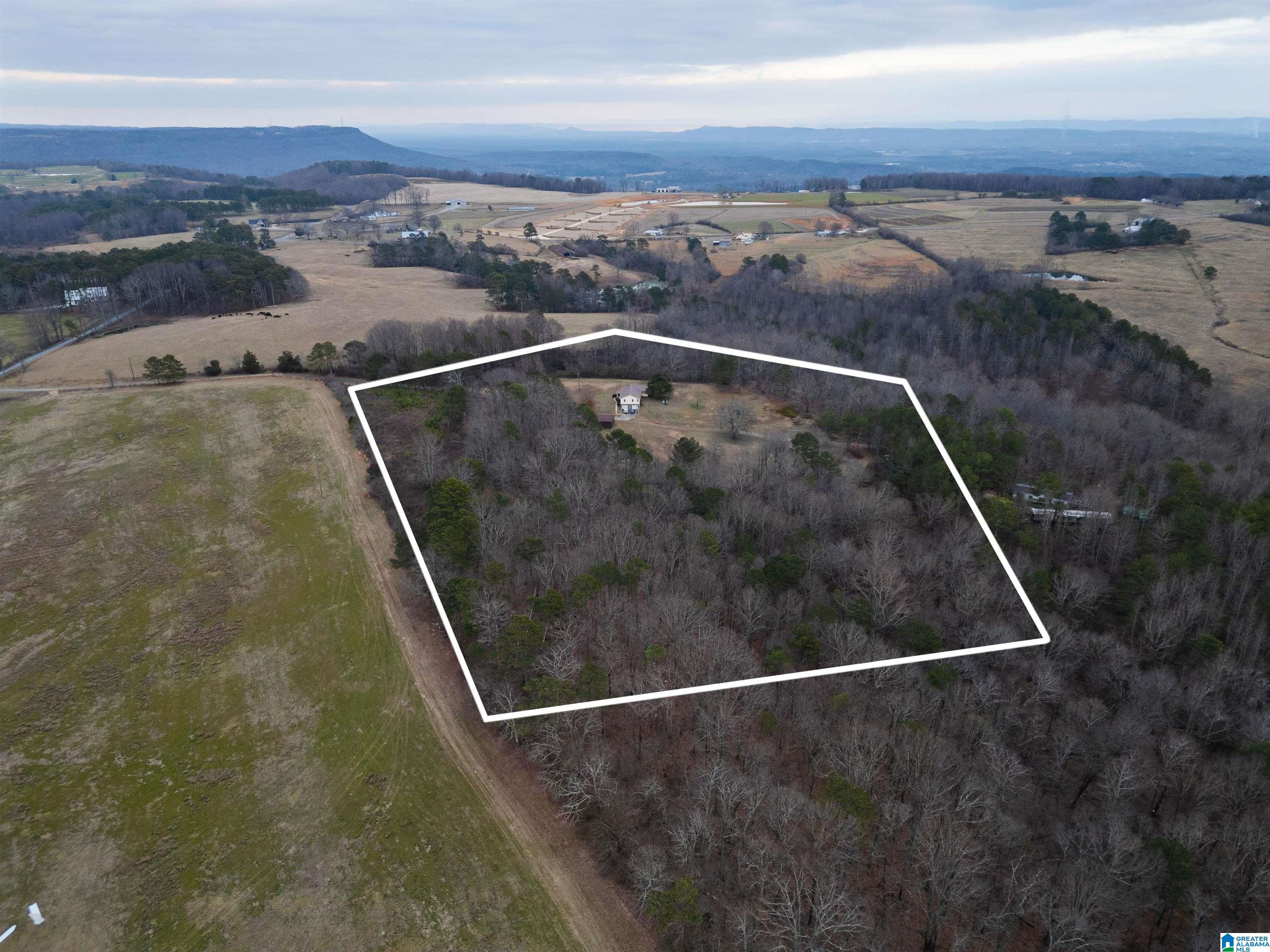 560 Phillips Drive Oneonta, AL 35121 - Photo 4 of 50