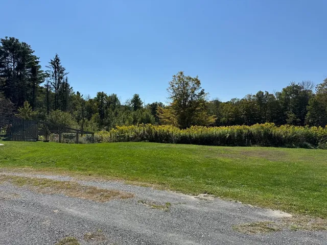 a view of field with tall trees
