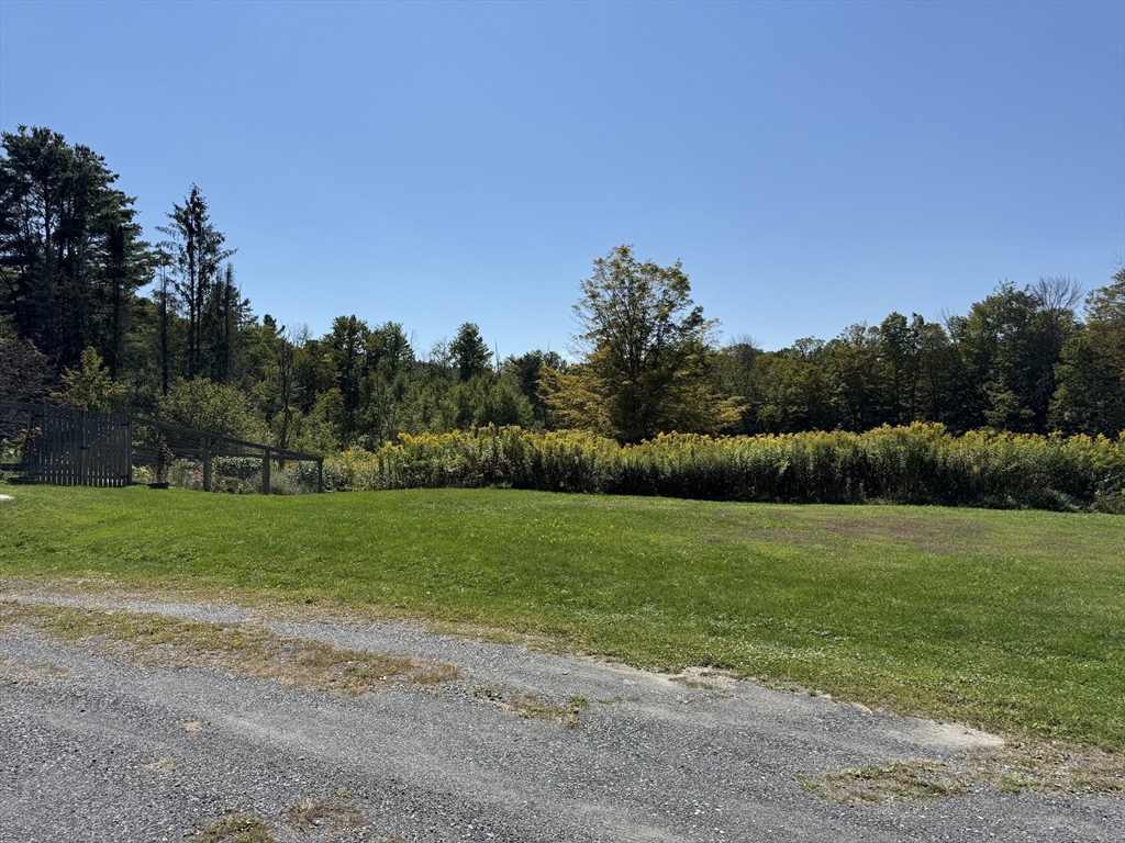 1292 Lenox Road, Unit 1 Richmond, MA 01254 - Photo 14 of 16 a view of field with tall trees