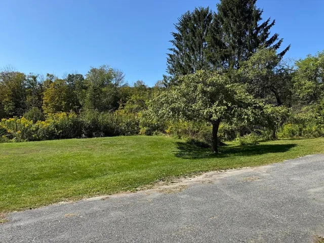 a view of a field of grass and trees