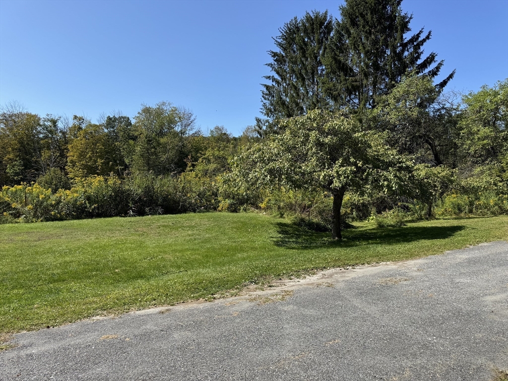 1292 Lenox Road, Unit 1 Richmond, MA 01254 - Photo 15 of 16 a view of a field of grass and trees