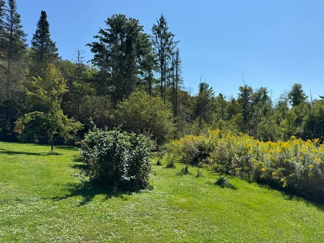 a big yard with lots of green space