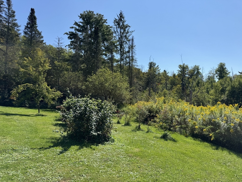1292 Lenox Road, Unit 1 Richmond, MA 01254 - Photo 16 of 16 a big yard with lots of green space