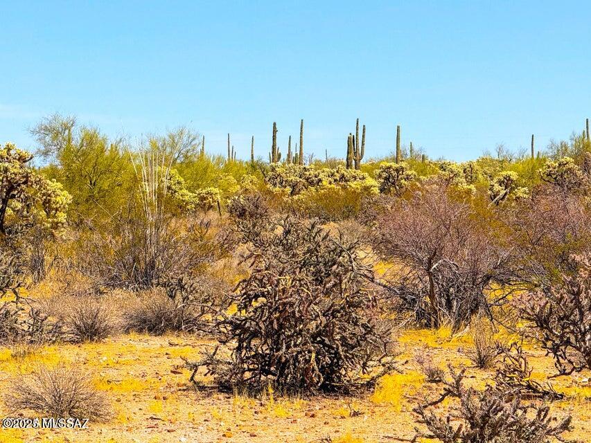 0 North Hohokam Road Florence, AZ 85132 - Photo 2 of 26 a view of ocean with large trees