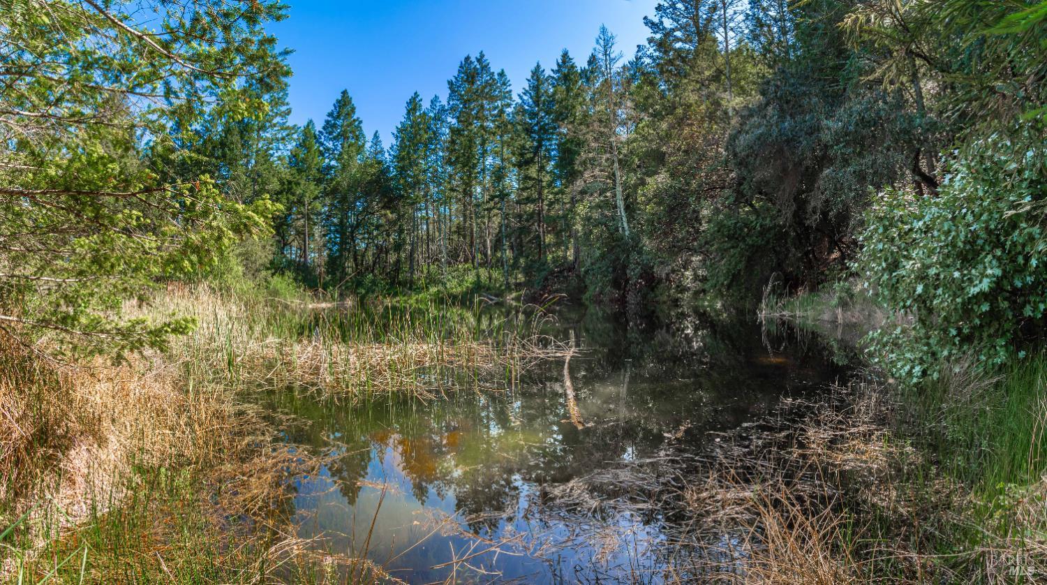 0 Dry Creek Road Napa, CA 94558 - Photo 60 of 98