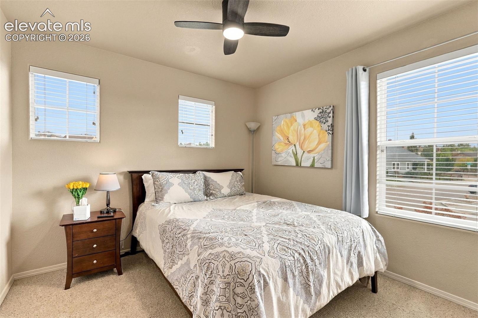967 Spectrum Loop Colorado Springs, CO 80921 - Photo 30 of 50 Gallery Image 30