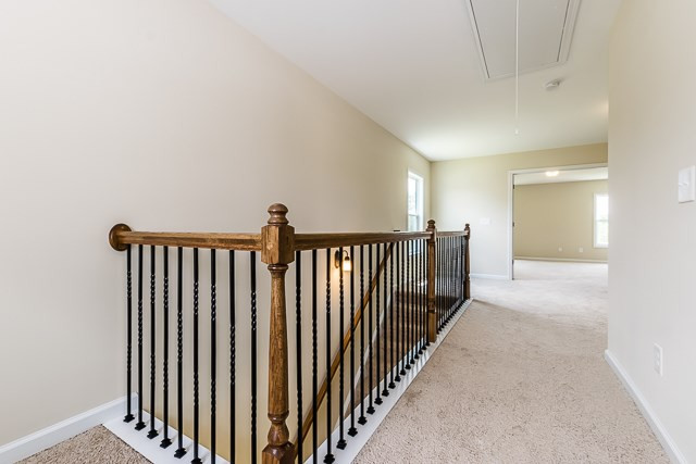 545 Count Fleet Court Graniteville, SC 29829 - Photo 24 of 28