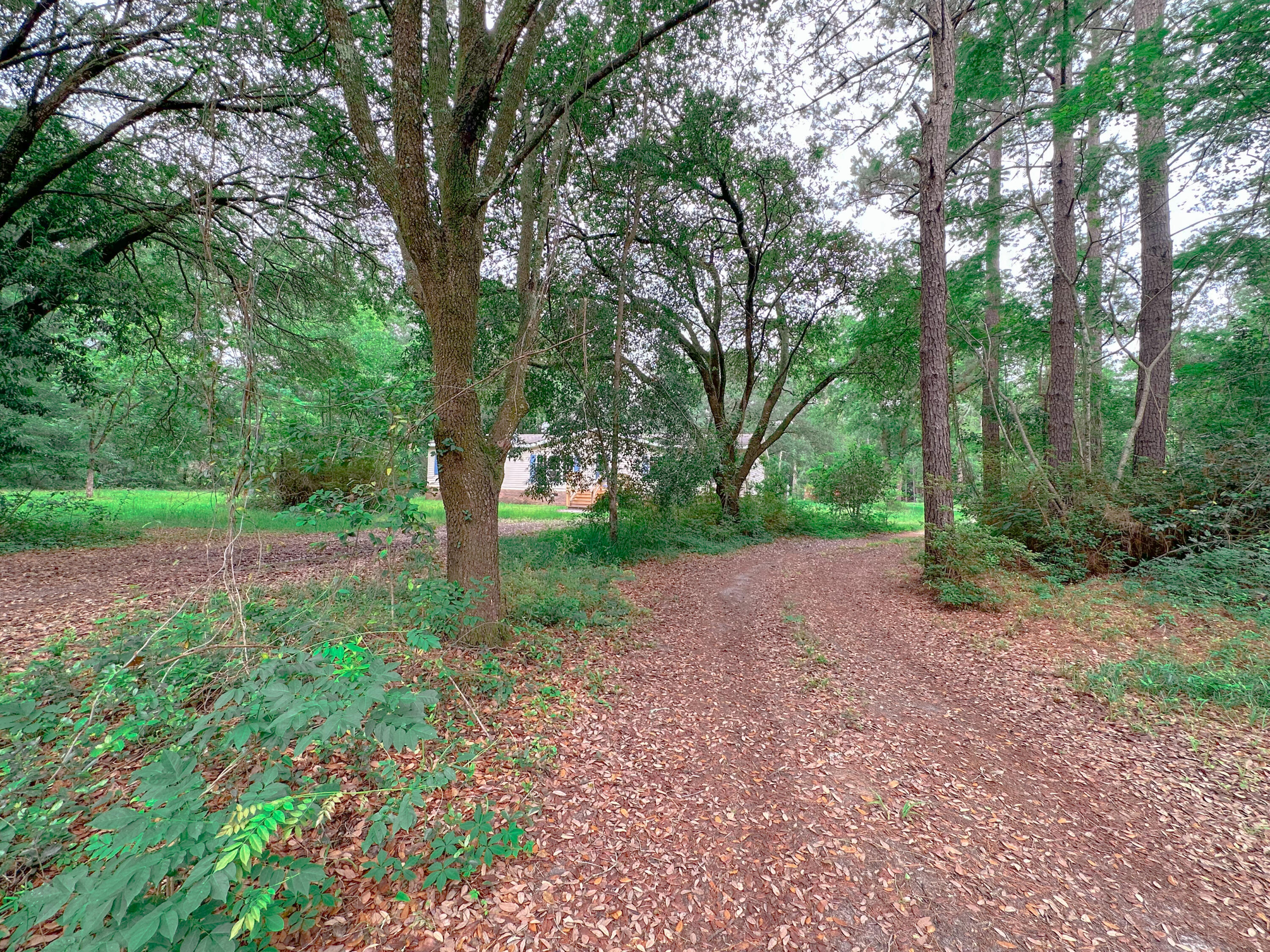 1745 Sandridge Road Dorchester, SC 29437 - Photo 1 of 59 A751016A-91D6-4F47-9878-C9BD50FB783F
