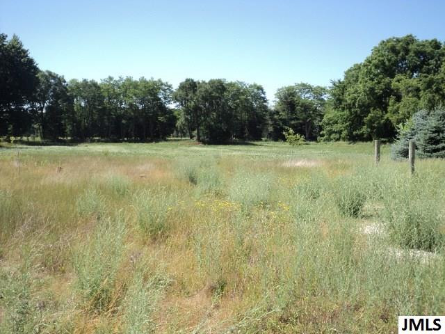 6326 Stony Lake Road Jackson, MI 49201 - Photo 3 of 10 Photo 3