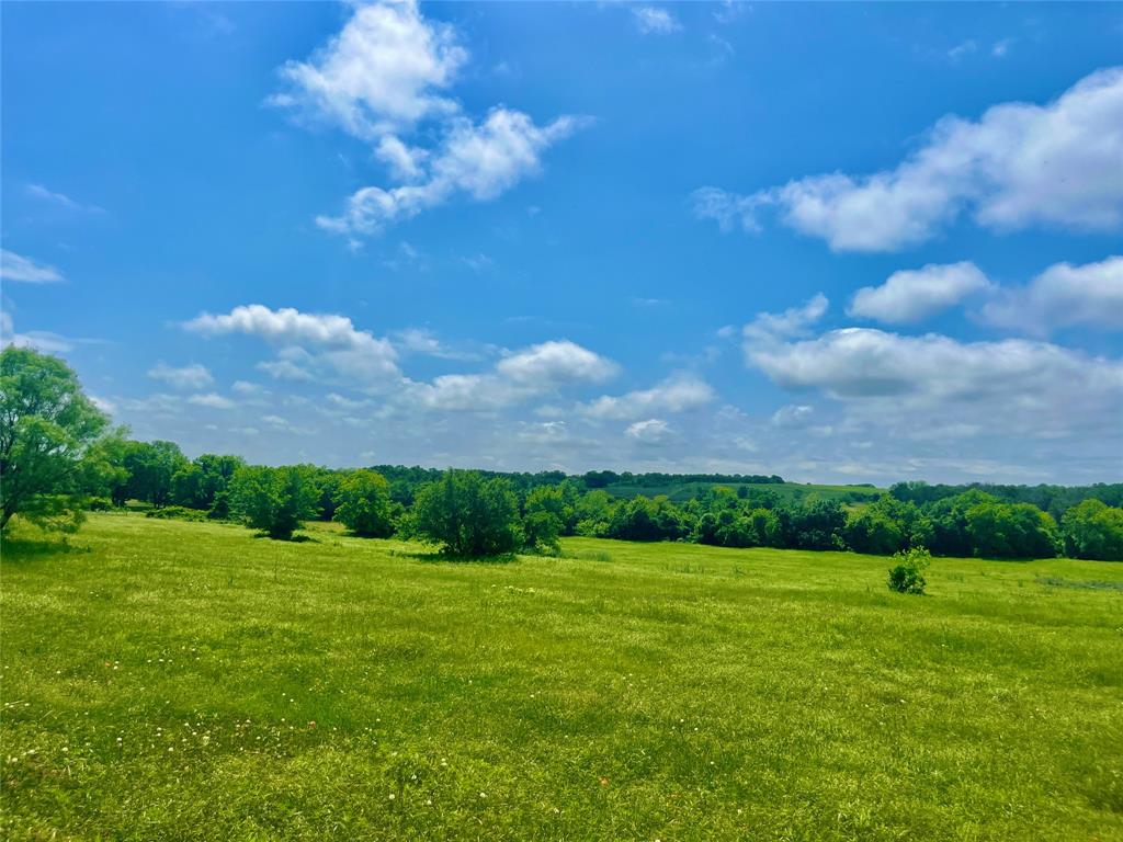 Lot 3 Clare Road Poolville, TX 76487 - Photo 3 of 18 View of mother earth's splendor featuring a rural view
