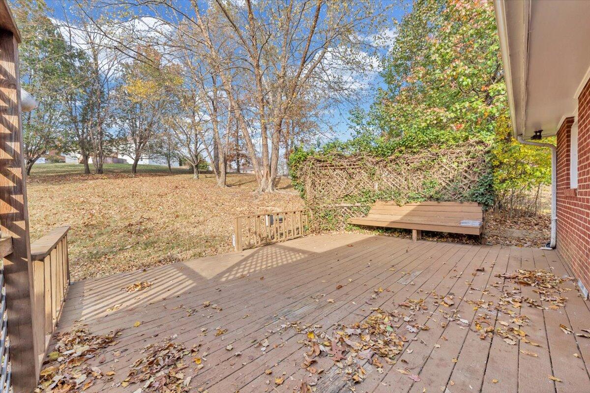 222 Maple Drive Blue Ridge, VA 24064 - Photo 6 of 24 a view of back yard of the house