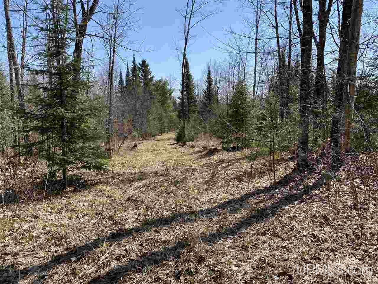 Off Nelson Road Glidden, WI 54527 - Photo 16 of 23