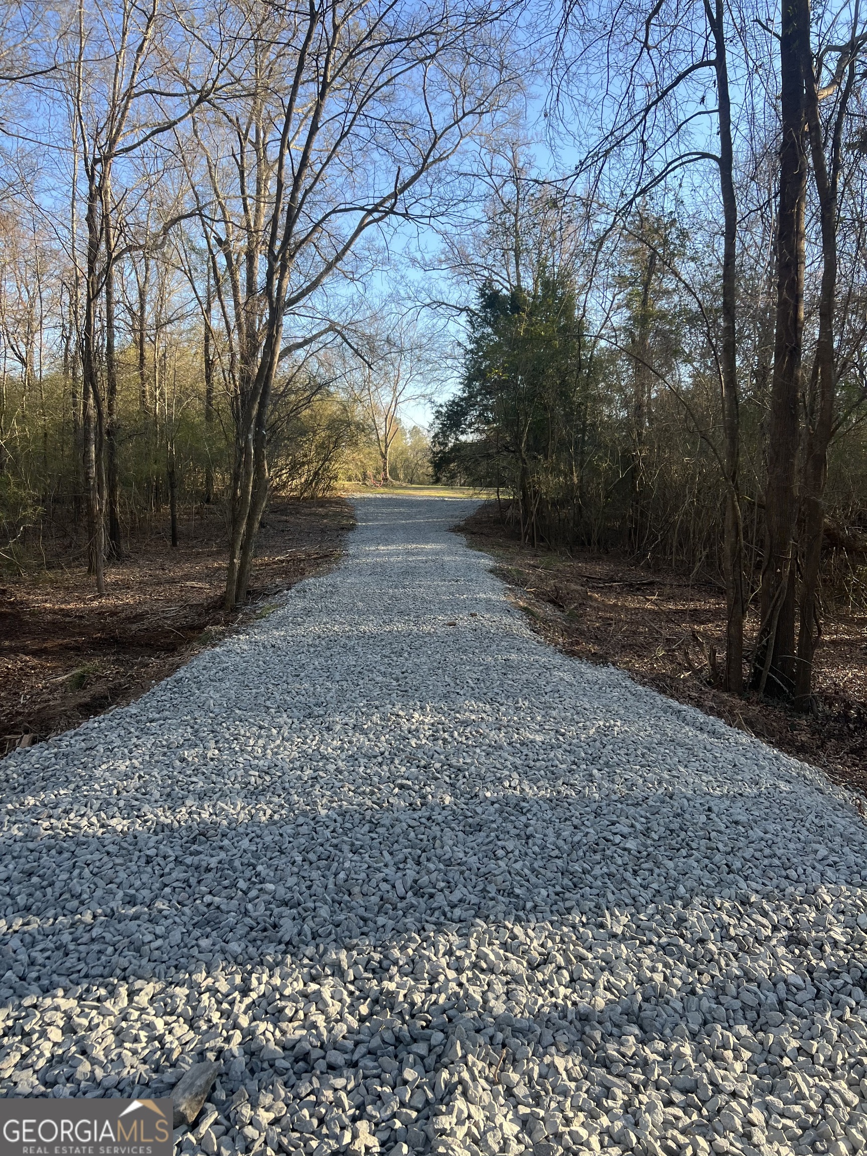 a view of a yard with plants and trees