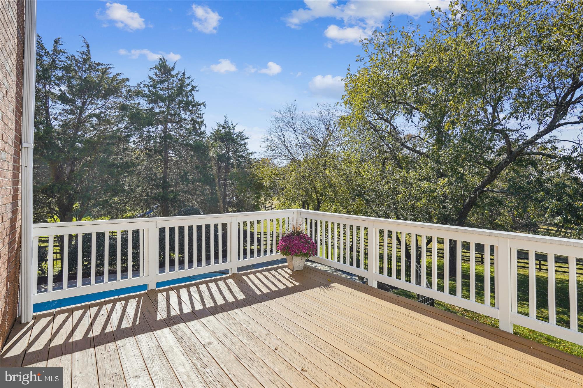 646 Seneca Road Great Falls, VA 22066 - Photo 14 of 52 Step out to the deck overlooking the pool.