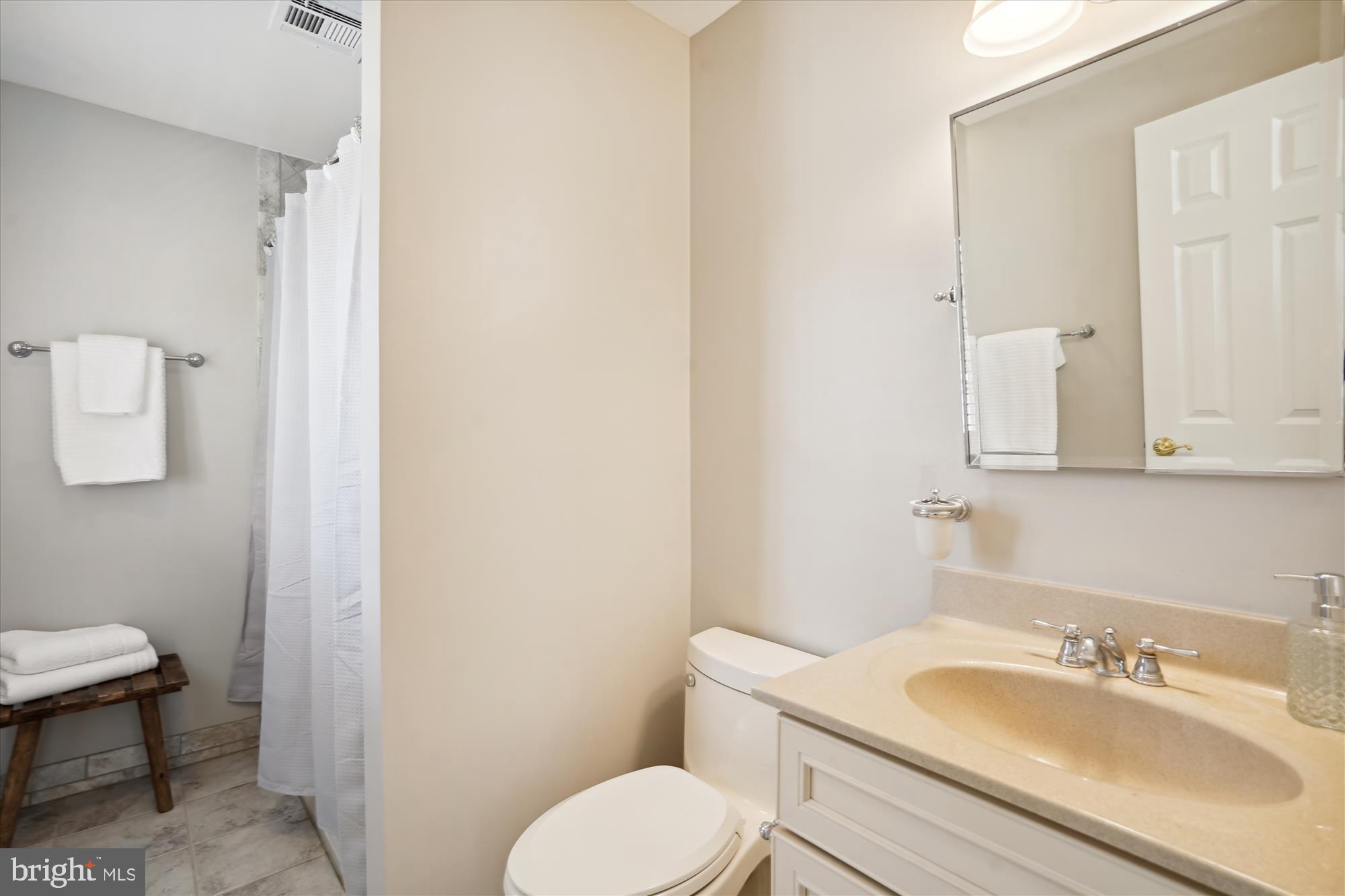 646 Seneca Road Great Falls, VA 22066 - Photo 28 of 52 Private princess bathroom.