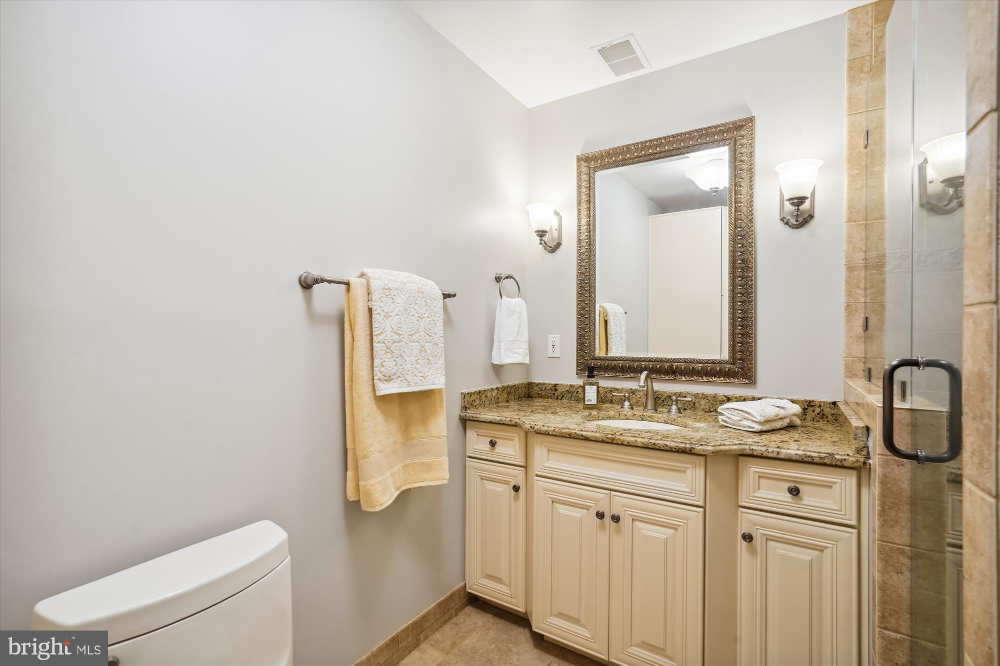 646 Seneca Road Great Falls, VA 22066 - Photo 34 of 52 Lower level bathroom.