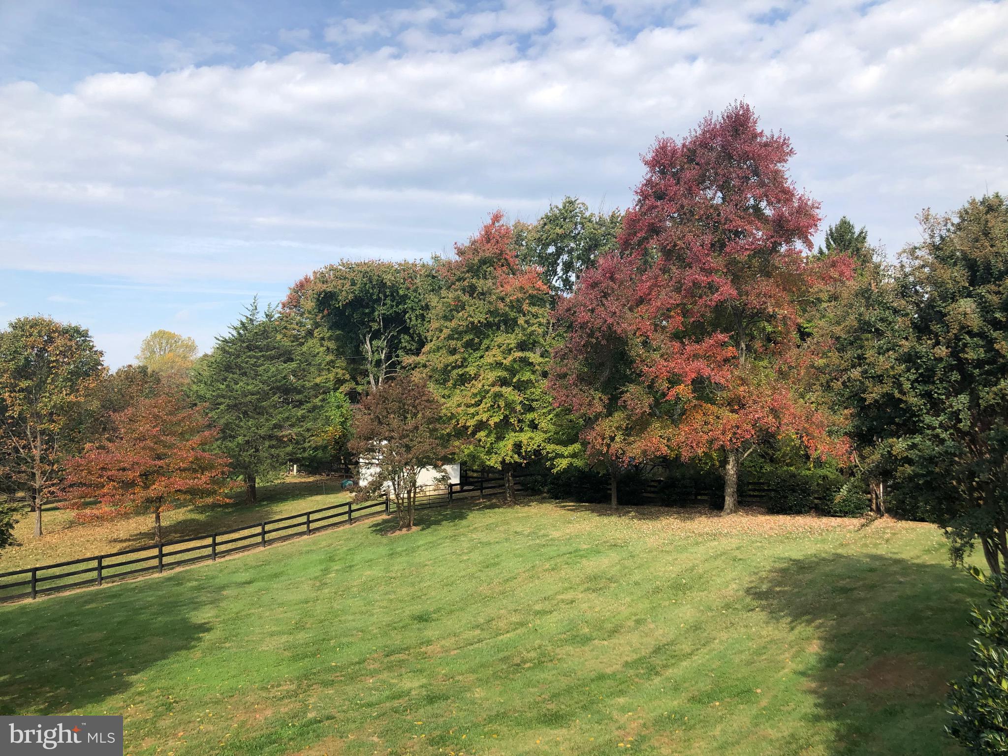 646 Seneca Road Great Falls, VA 22066 - Photo 36 of 52 Idyllic outdoor views.